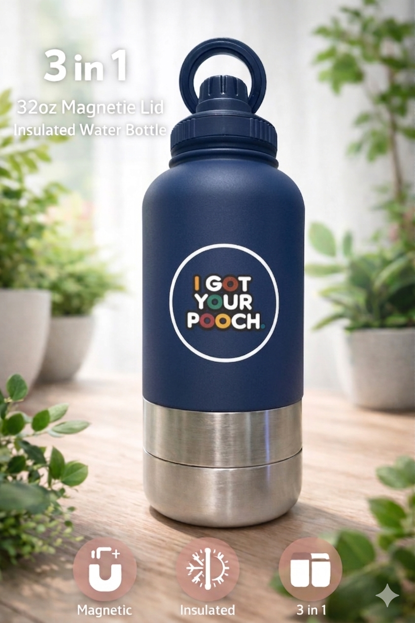 3-in-1 Water Bottle