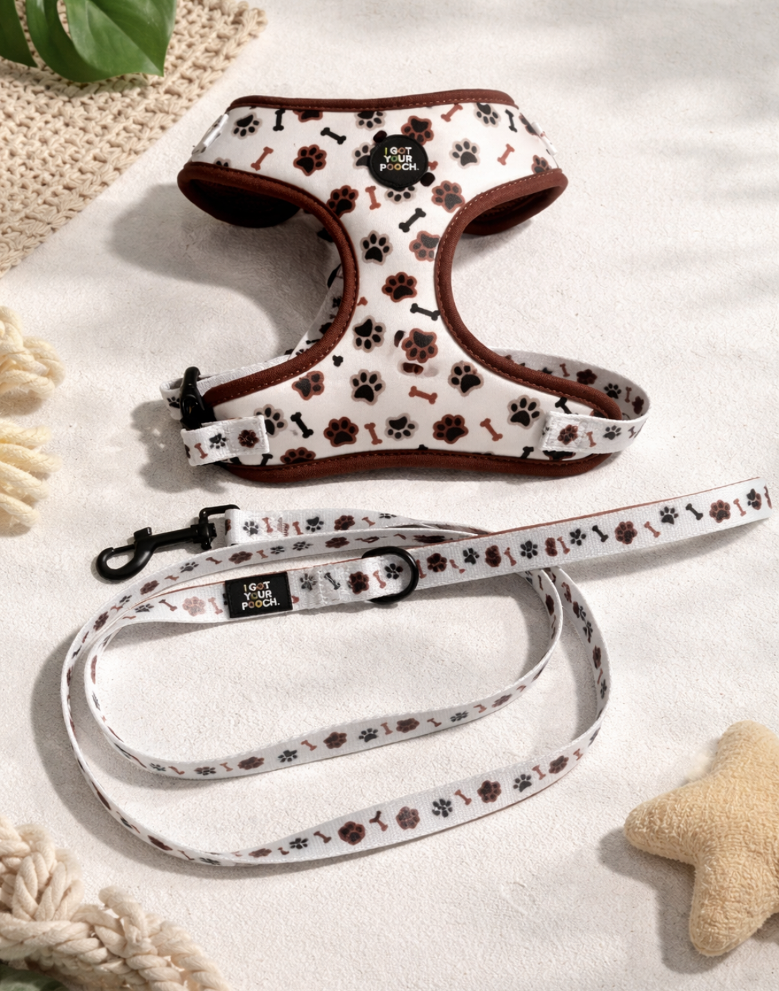 Paw and Bone Harness Set