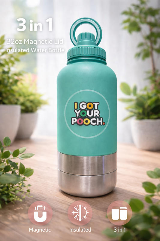 3-in-1 Water Bottle