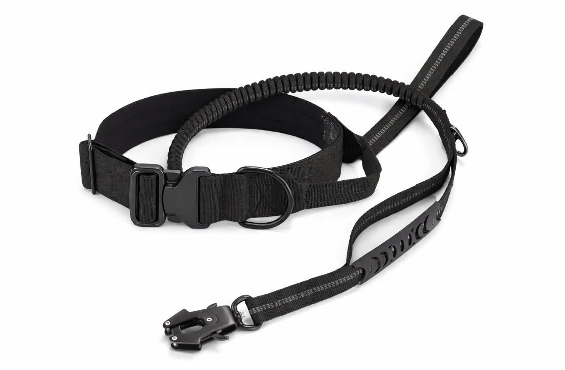 Nylon Tactical Collar and Leash Set