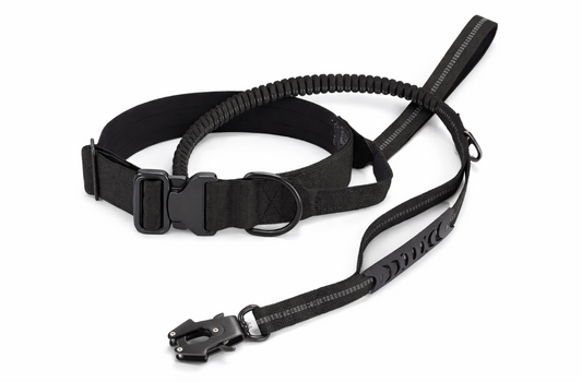 Nylon Tactical Collar and Leash Set