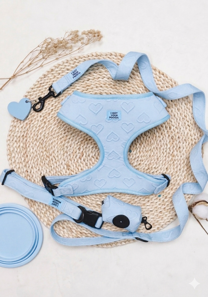 Heart-Themed Harness Set