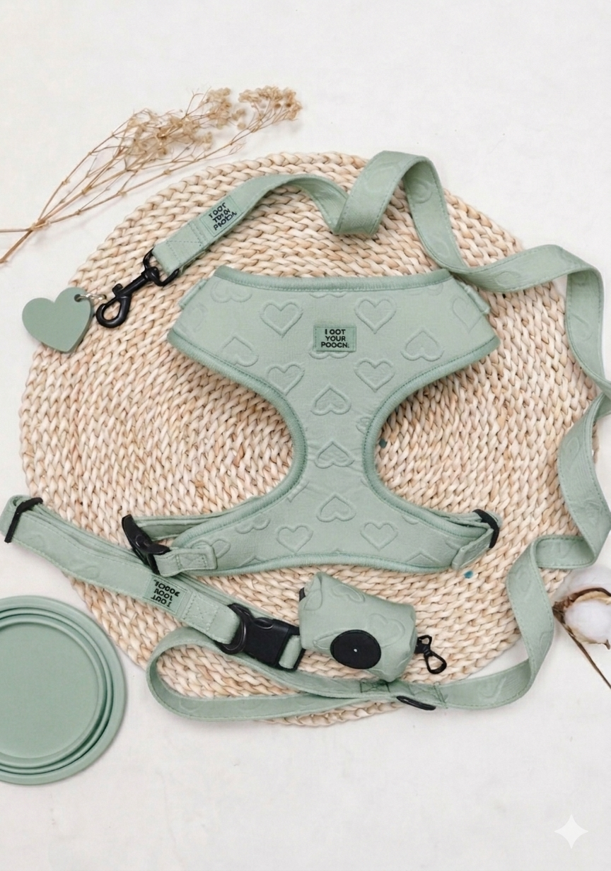 Heart-Themed Harness Set