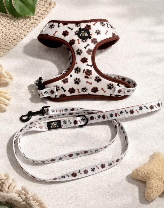Paw and Bone Harness Set