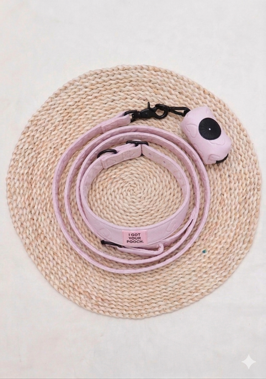 Heart-Themed Collar Set