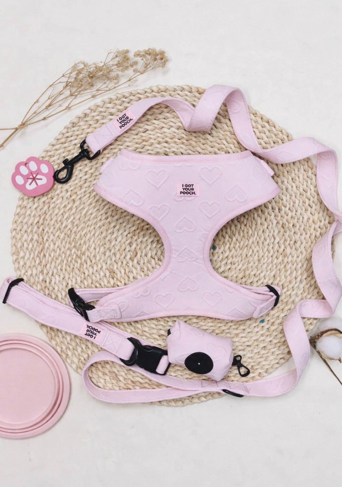 Heart-Themed Harness Set