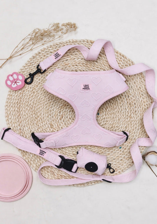 Heart-Themed Harness Set