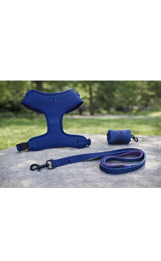 Harness Set